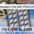 Kamagra Oral Jelly What Is It 07